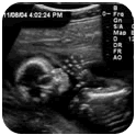 How is my baby growing? Learn about how your baby is growing